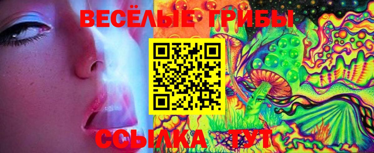 Галлюциногенные грибы Cubensis Солнечногорск