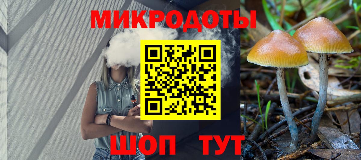 МЕФ Солнечногорск