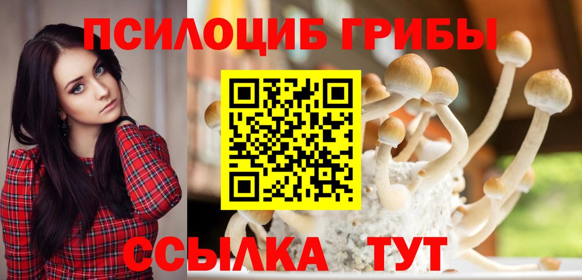 Галлюциногенные грибы Psilocybine cubensis  Галлюциногенные грибы Psilocybine cubensis  Солнечногорск  Вход с VPN 